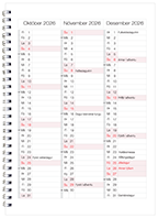 Dagbók, Nikkólína ársyfirlit